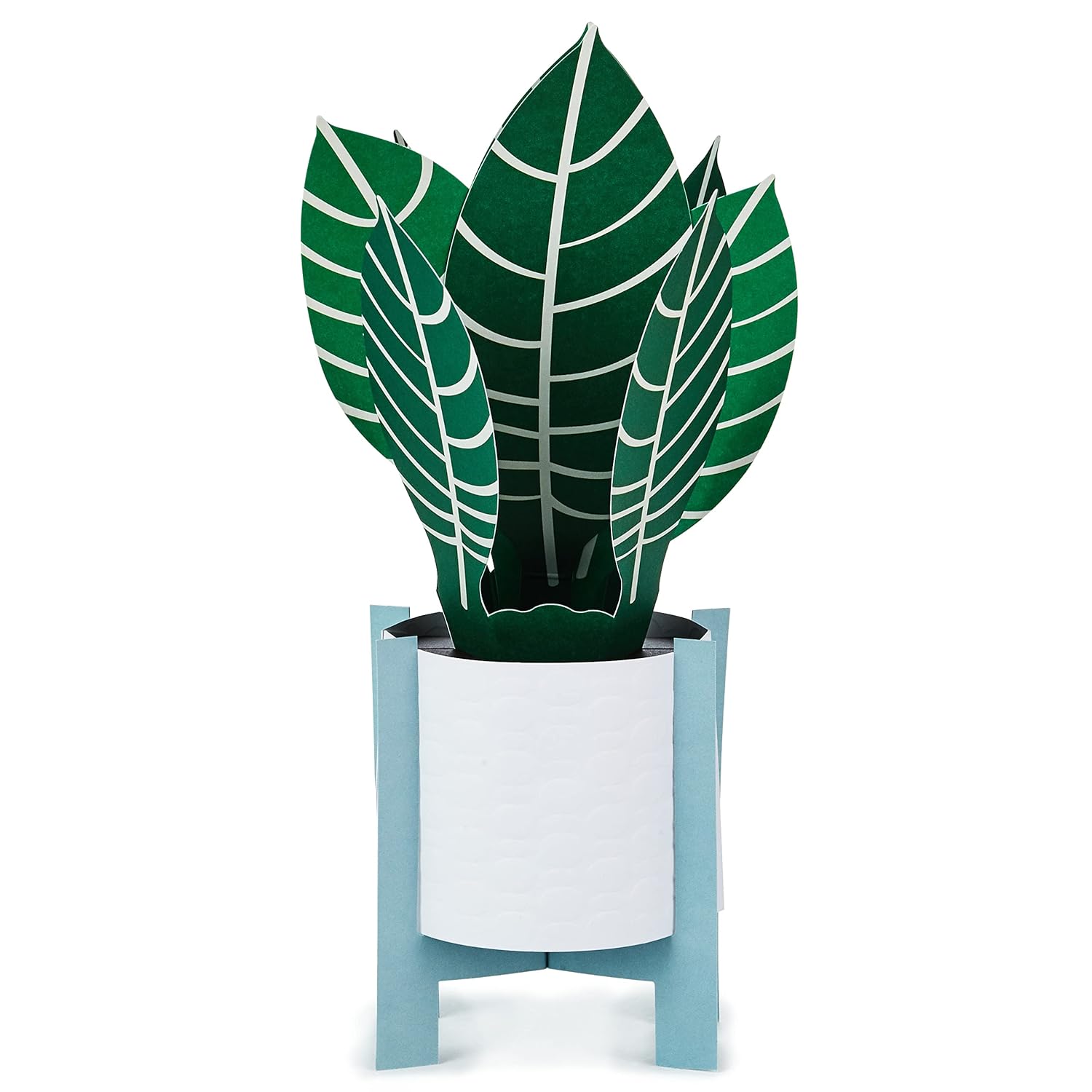 Hallmark Paper Wonder Pop Up Card for Birthday, Thinking of You, Congrats, Get Well, or Any Occasion (Potted Zebra Plant) with 3D green leaves against a light blue pot.