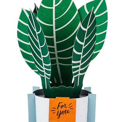 Hallmark Paper Wonder Pop Up Card for Birthday, Thinking of You, Congrats, Get Well, or Any Occasion (Potted Zebra Plant) with vibrant green leaves and a contrasting orange tag.