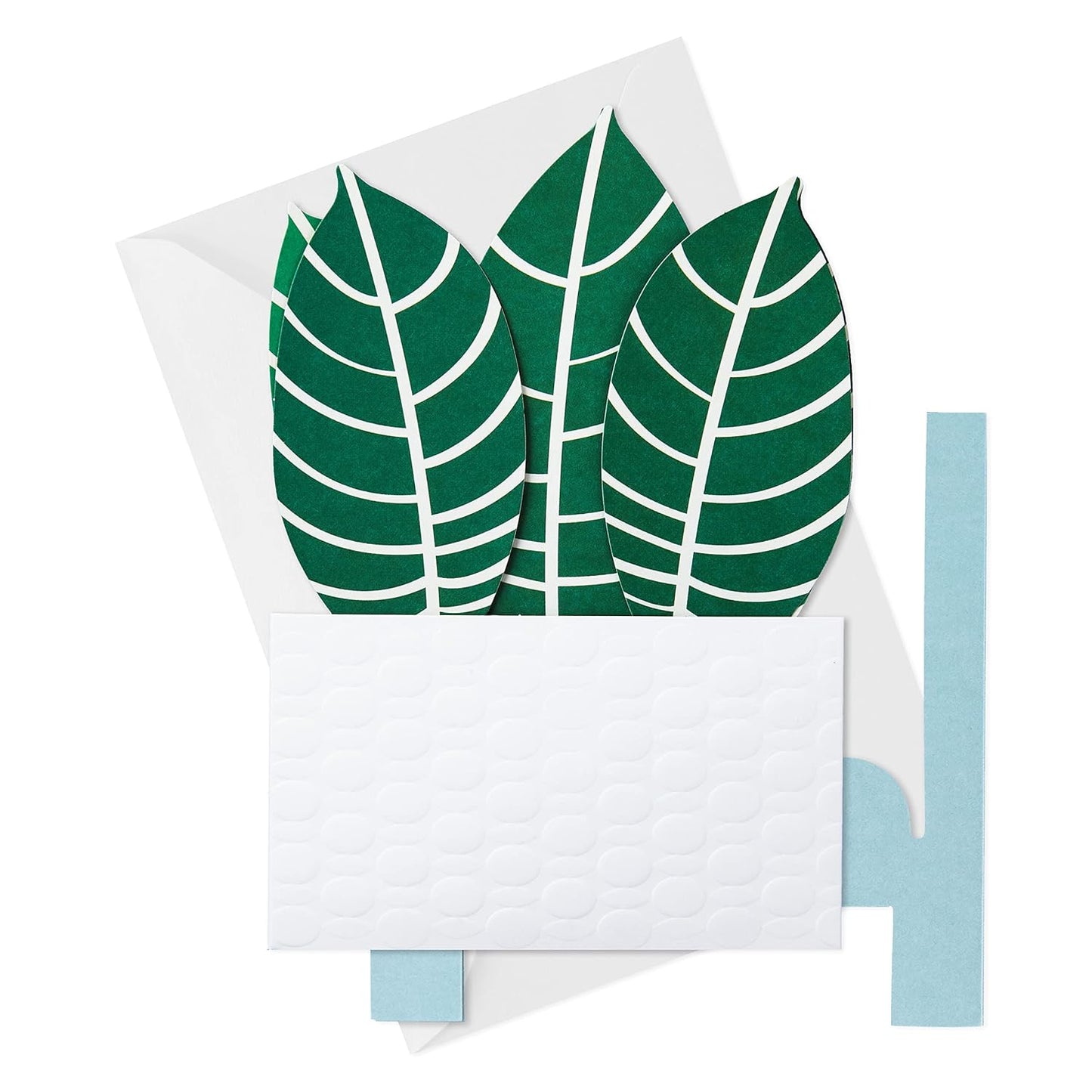 Hallmark Paper Wonder Pop Up Card for Birthday, Thinking of You, Congrats, Get Well, or Any Occasion (Potted Zebra Plant) with vibrant green leaves and textured pot.
