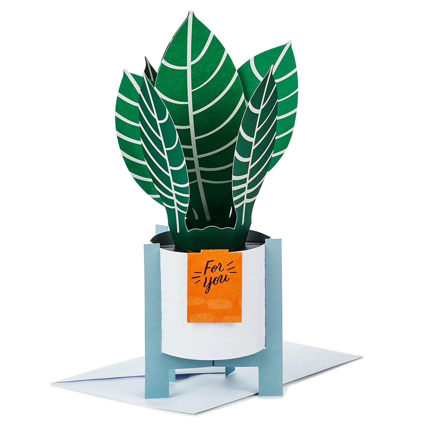 Hallmark Paper Wonder Pop Up Card for Birthday, Thinking of You, Congrats, Get Well, or Any Occasion (Potted Zebra Plant) with vibrant 3D leaves in a decorative pot