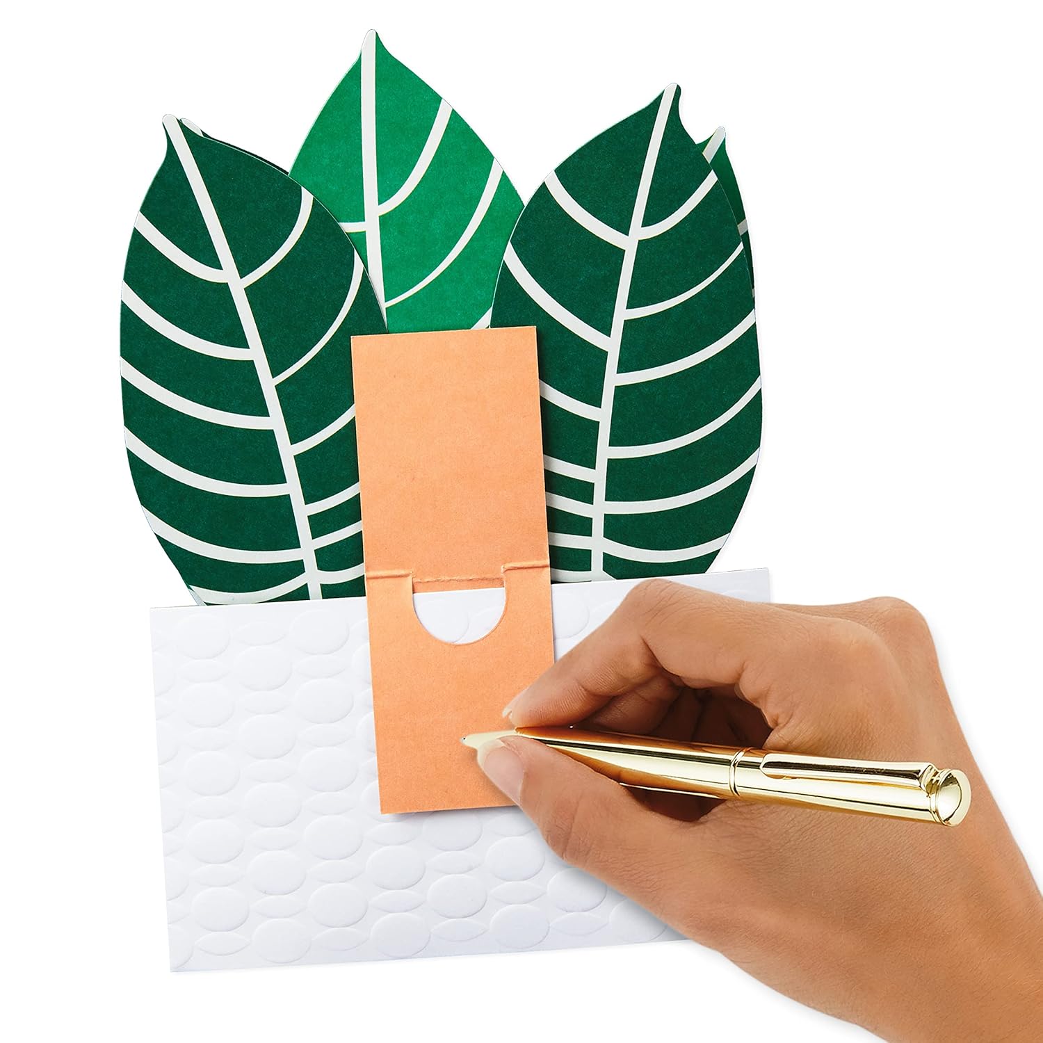 Hallmark Paper Wonder Pop Up Card for Birthday, Thinking of You, Congrats, Get Well, or Any Occasion (Potted Zebra Plant) with green leaves and a hand writing a message.
