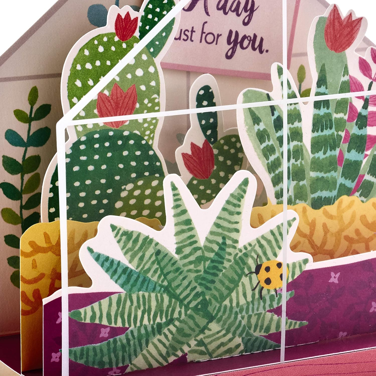 Hallmark Paper Wonder Displayable Pop Up Birthday Card or Mother's Day Card (Succulents), 5 x 7.2 inches, displaying a vibrant diorama of succulents.