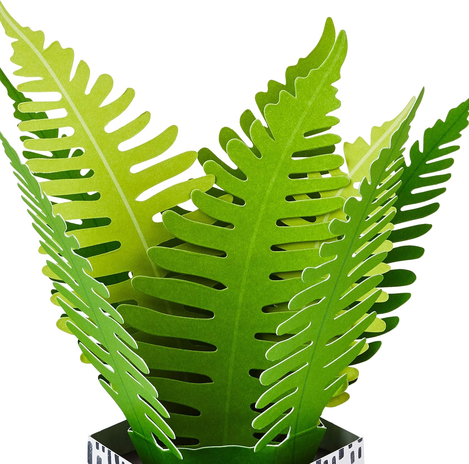 Hallmark Paper Wonder Pop Up Card for Birthday, Thinking of You, Congrats, Get Well, or Any Occasion (Potted Fern) with detailed green fern leaves.