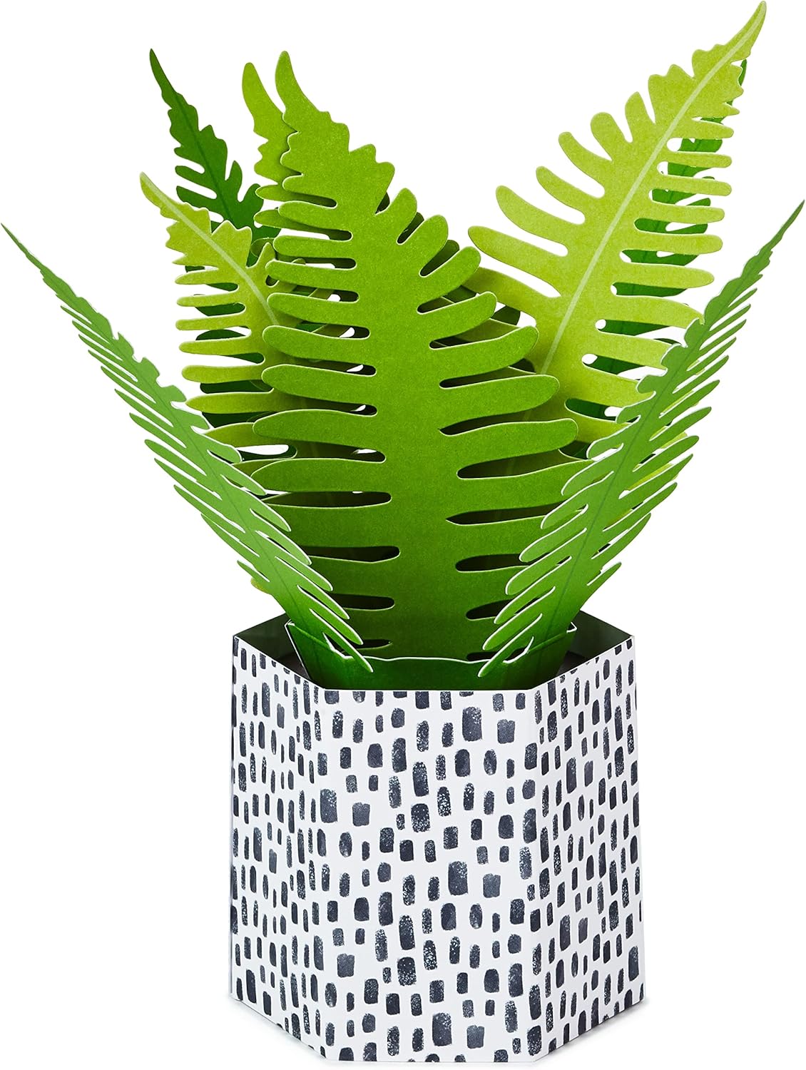 Hallmark Paper Wonder Pop Up Card for Birthday, Thinking of You, Congrats, Get Well, or Any Occasion (Potted Fern) featuring green fern leaves in geometric pot design.