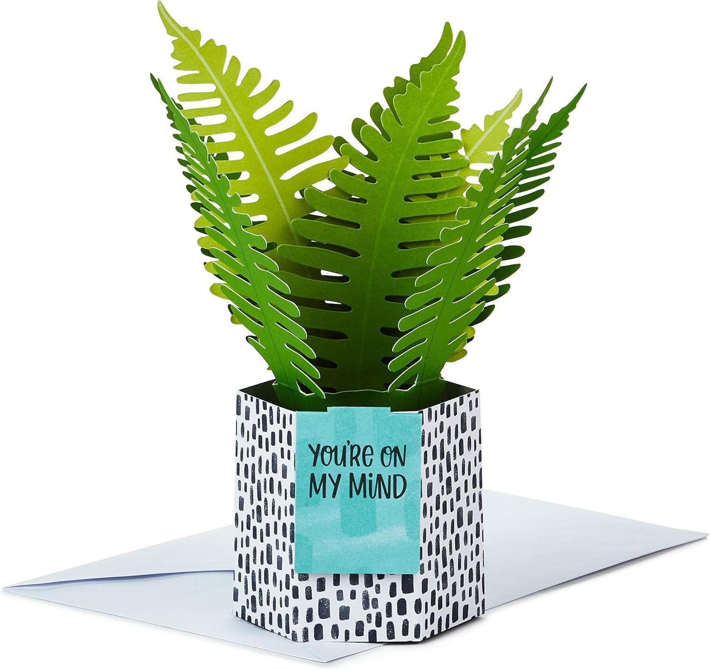 Hallmark Paper Wonder Pop Up Card for Birthday, Thinking of You, Congrats, Get Well, or Any Occasion (Potted Fern) featuring vibrant green leaves in a decorative pot, displayed in a flat lay.