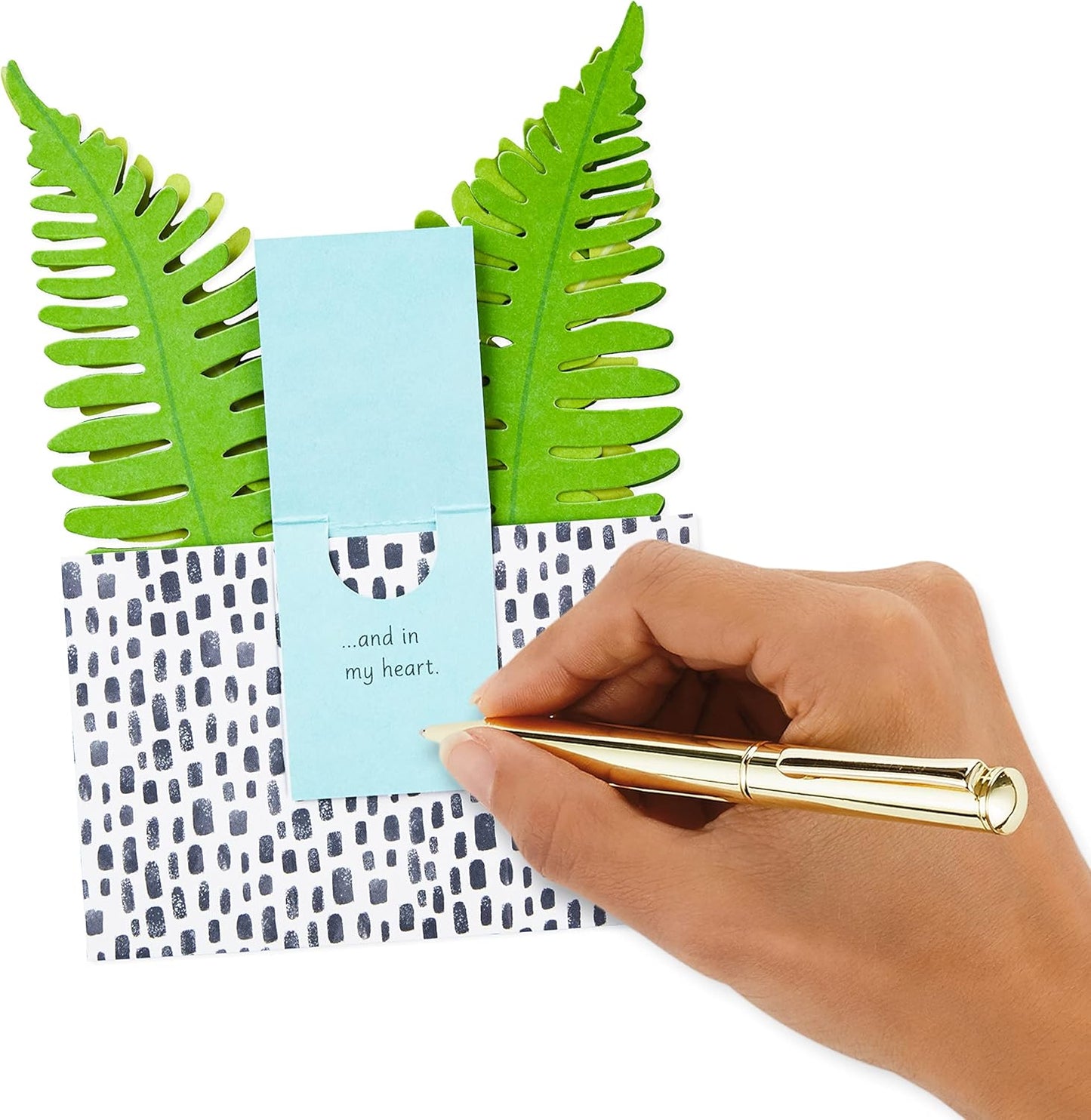 Hallmark Paper Wonder Pop Up Card for Birthday, Thinking of You, Congrats, Get Well, or Any Occasion (Potted Fern) with hand writing a message on the mini card.