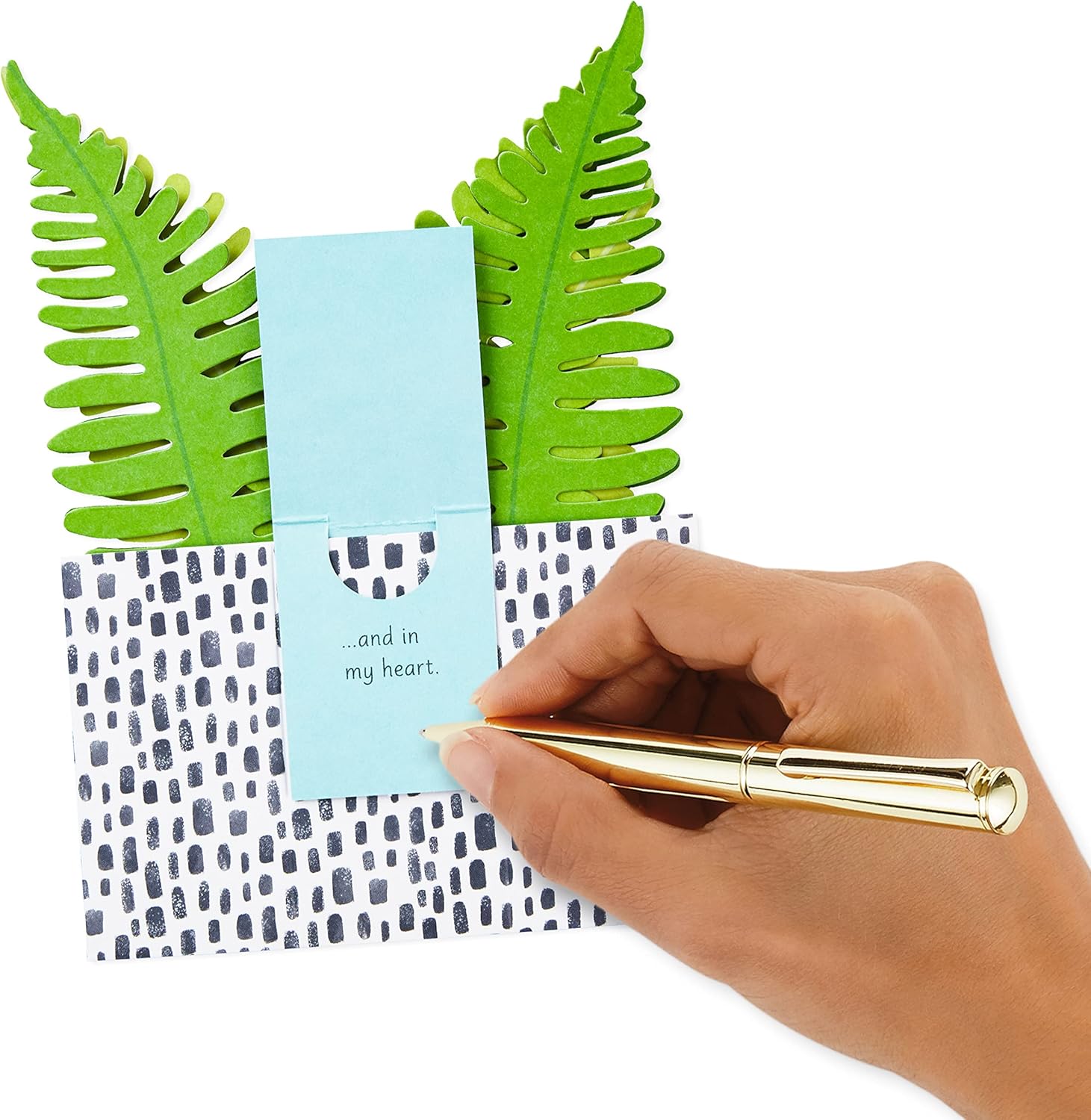Hallmark Paper Wonder Pop Up Card for Birthday, Thinking of You, Congrats, Get Well, or Any Occasion (Potted Fern) with hand writing a message on the mini card.