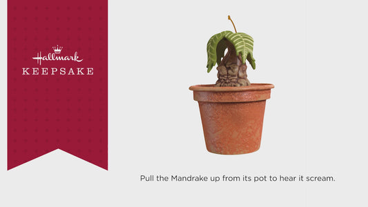 Harry Potter™ Mandrake™ With Sound — 2025 Hallmark Keepsake Christmas Ornament