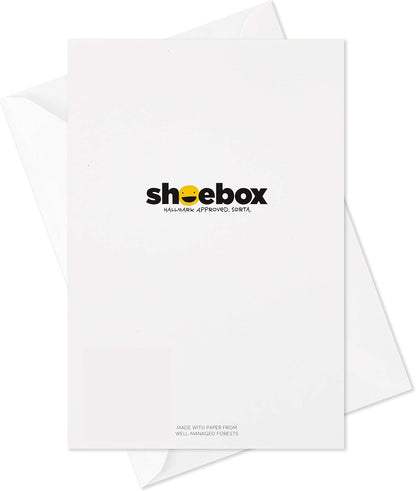 Hallmark Shoebox funny blank cards assortment (12 all occasion cards with envelopes) featuring a white card back with logo and envelope.
