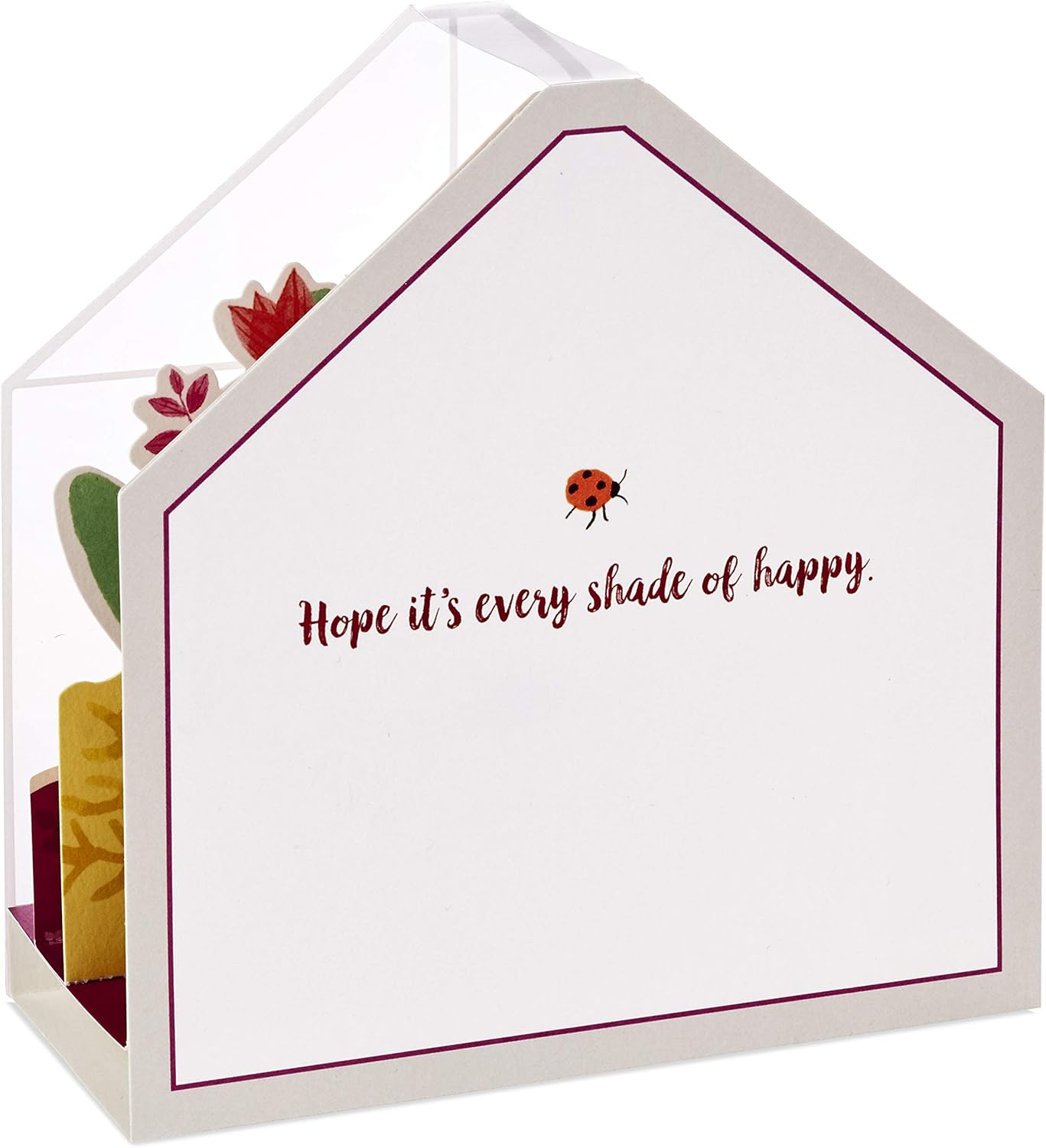 Hallmark Paper Wonder Displayable Pop Up Birthday Card or Mother's Day Card (Succulents), 5 X 7.2 inches, featuring a heartfelt message in a terrarium design.