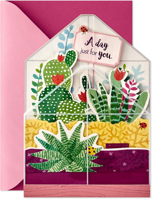 Hallmark Paper Wonder Displayable Pop Up Birthday Card or Mother's Day Card (Succulents), 5 X 7.2 inches, 3D terrarium design featuring cacti and greenery.