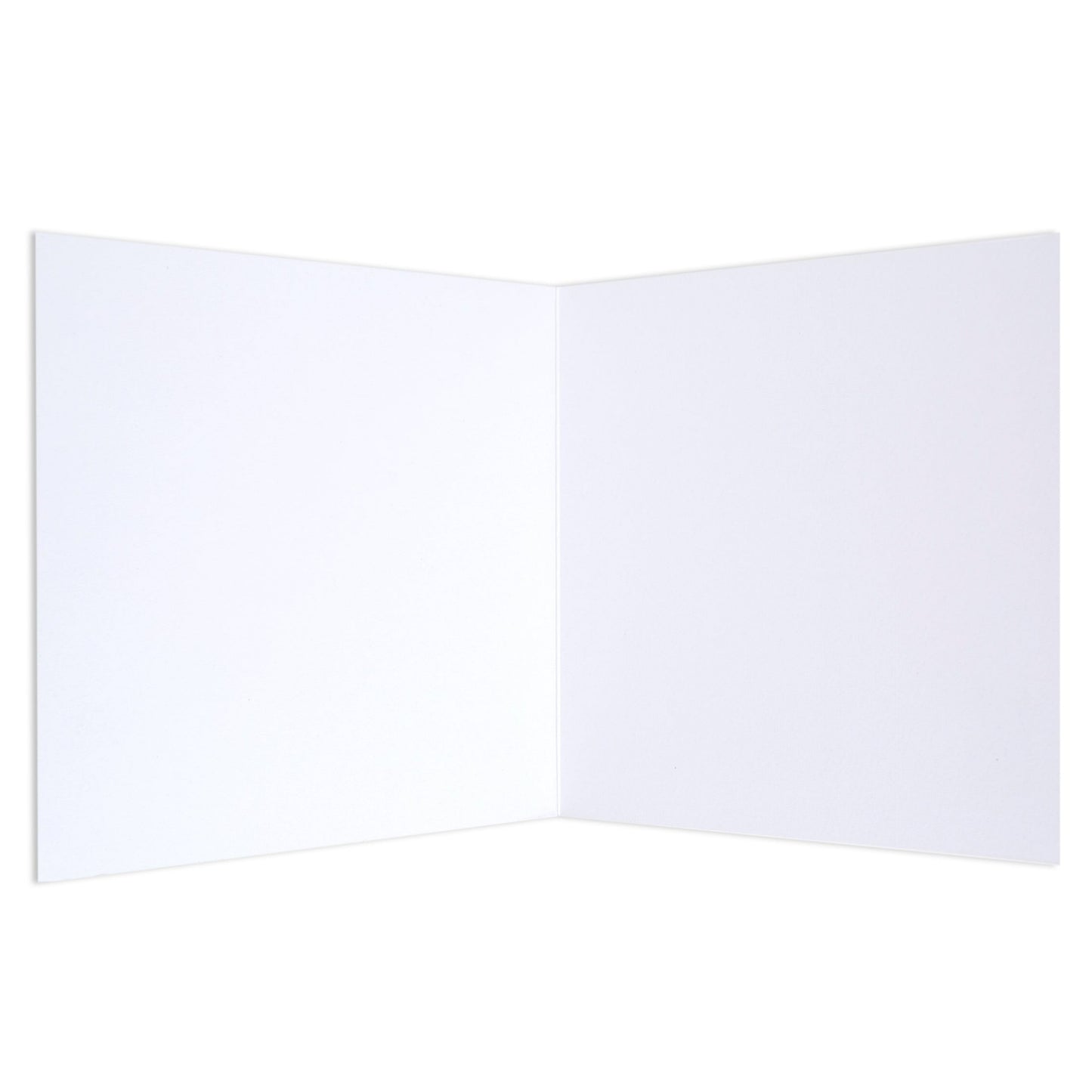 XOXO All Occasions Colourful Blank Card