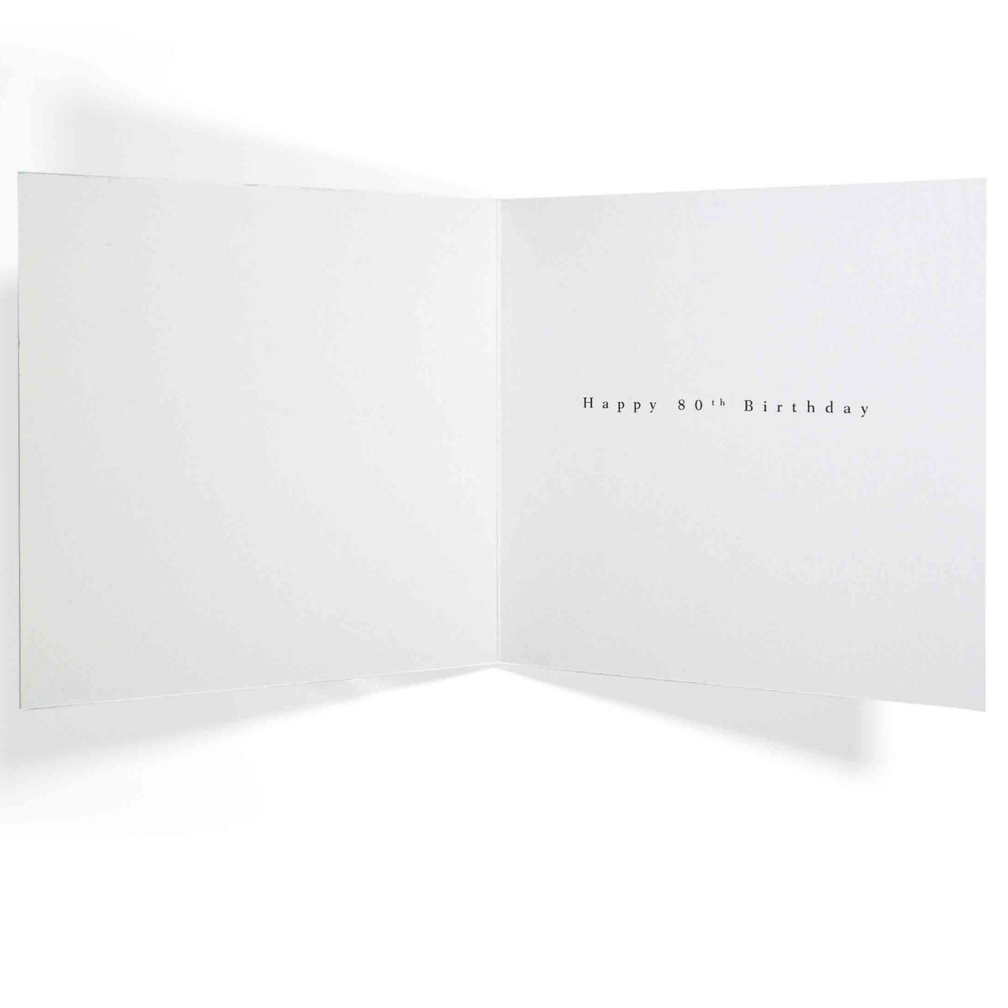 So Many Stories Elegant 80th Birthday Card