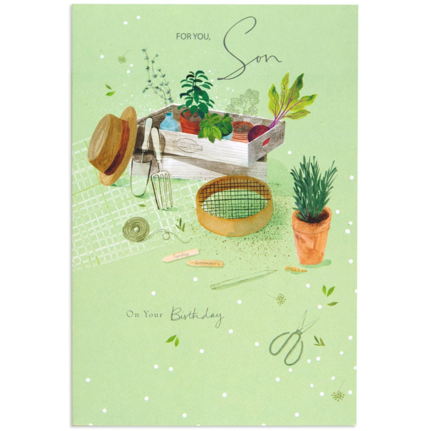 Sentimental Green Thumb Son Birthday Card