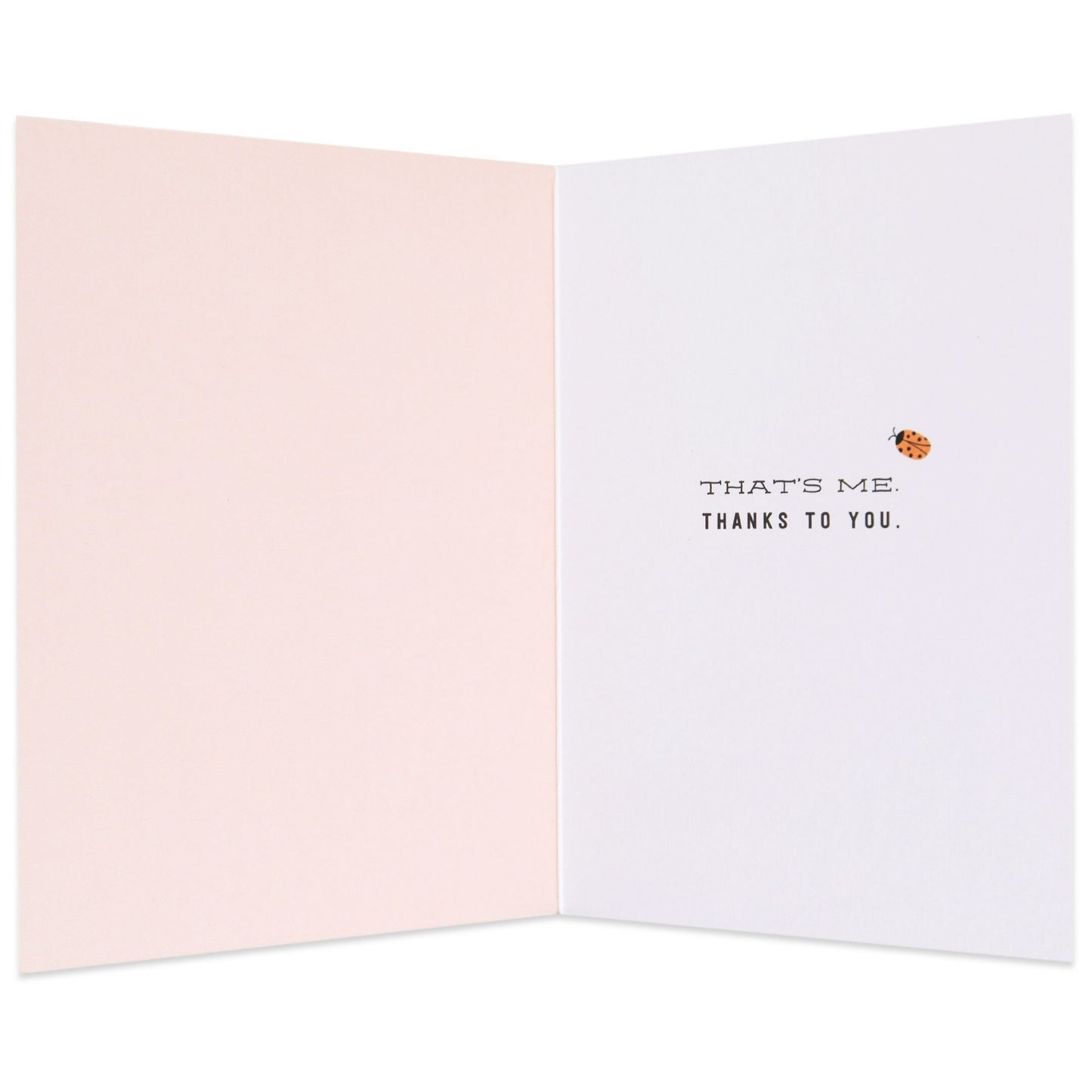 Lovely Lucky Ladybug Thank You Card