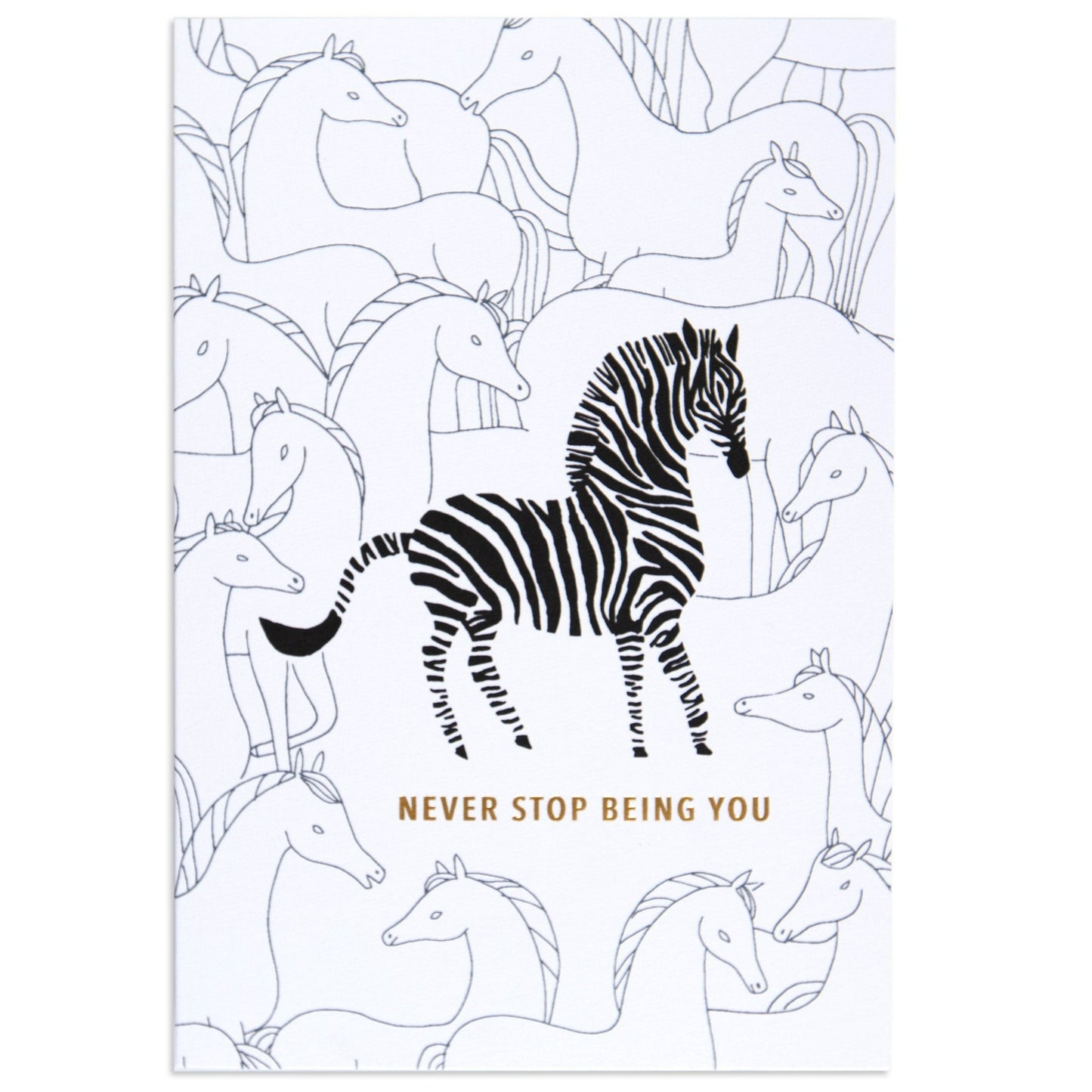 Fun Zebra Birthday Card
