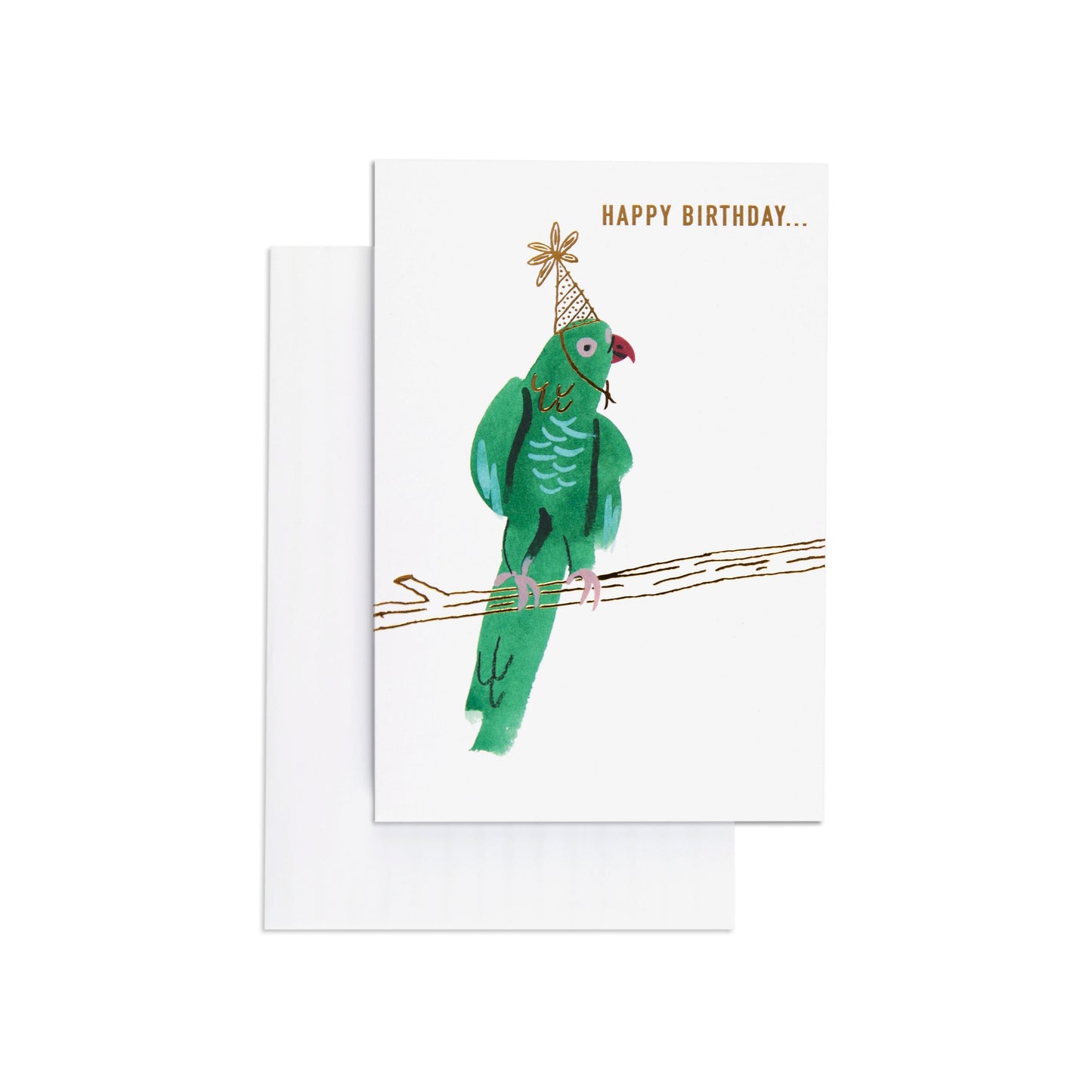 Party Parrot Funny Birthday card