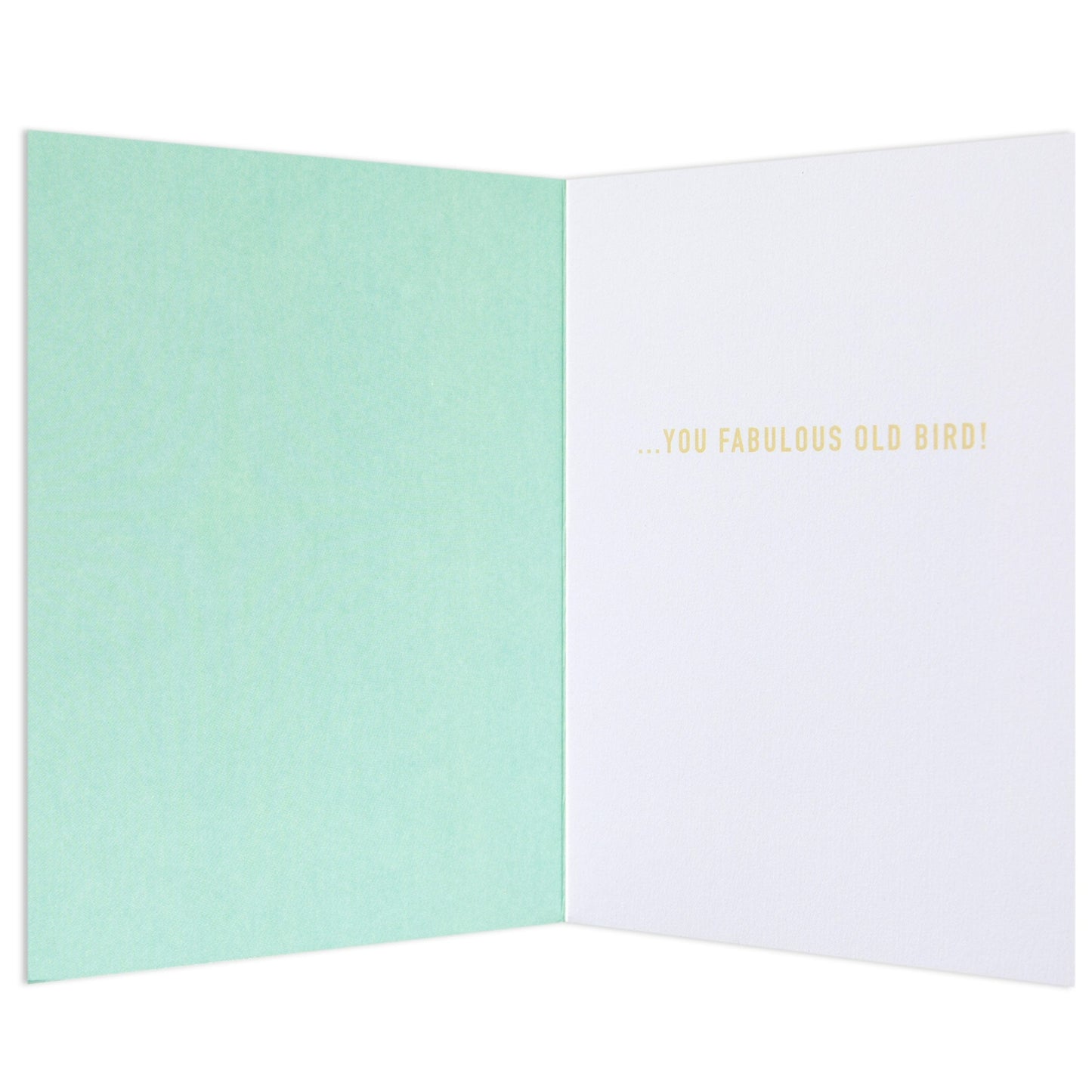 Party Parrot Funny Birthday card