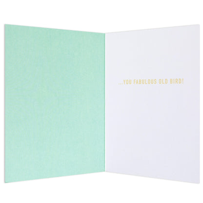 Party Parrot Funny Birthday card