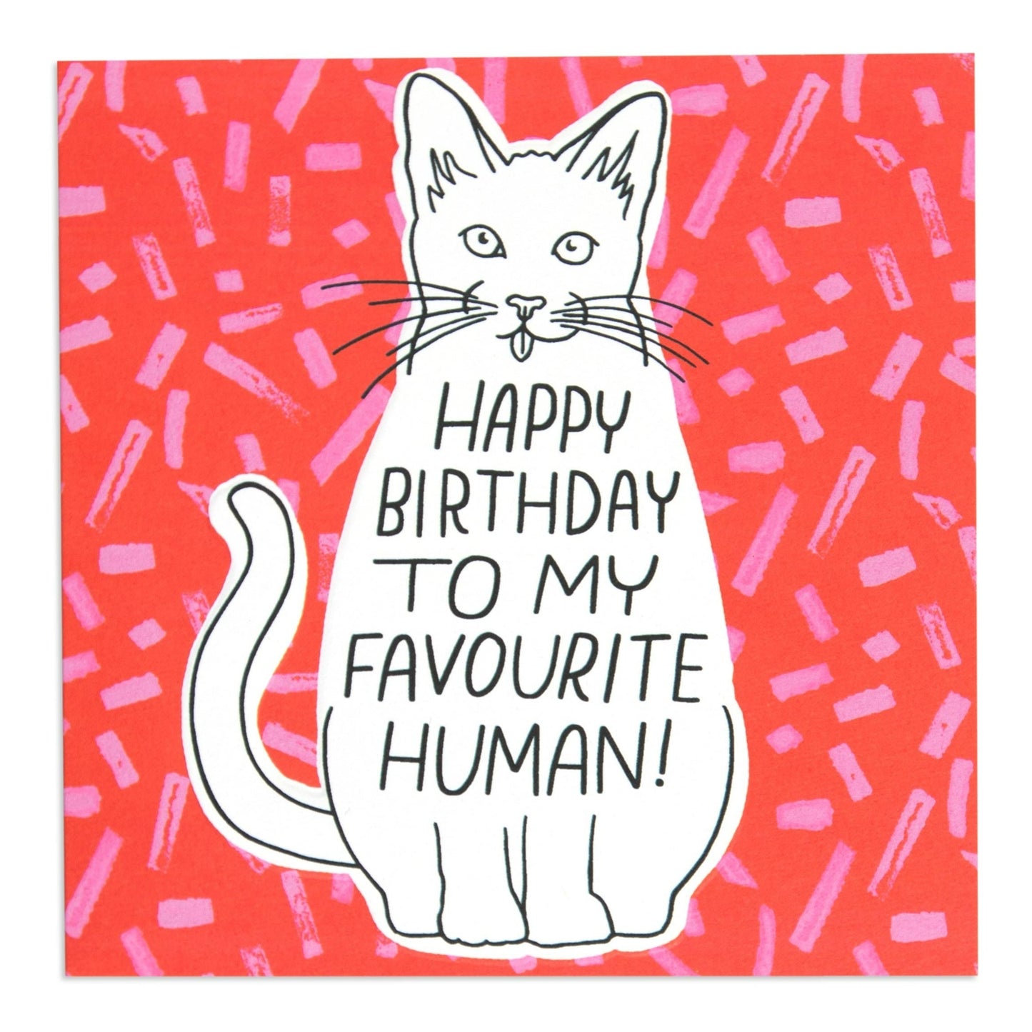 Sweet Happy Birthday To My Favourite Human Cat Card