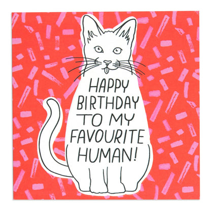 Sweet Happy Birthday To My Favourite Human Cat Card