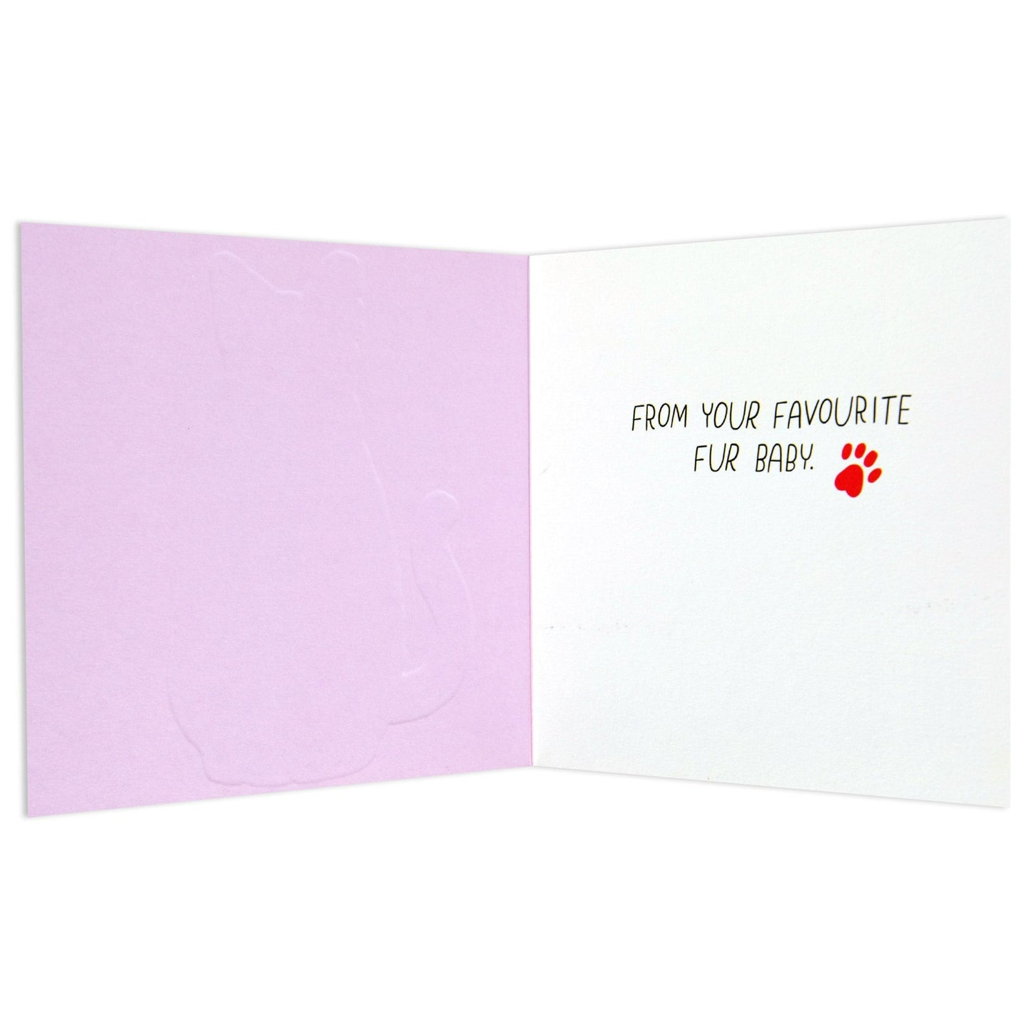 Sweet Happy Birthday To My Favourite Human Cat Card