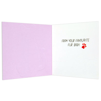 Sweet Happy Birthday To My Favourite Human Cat Card