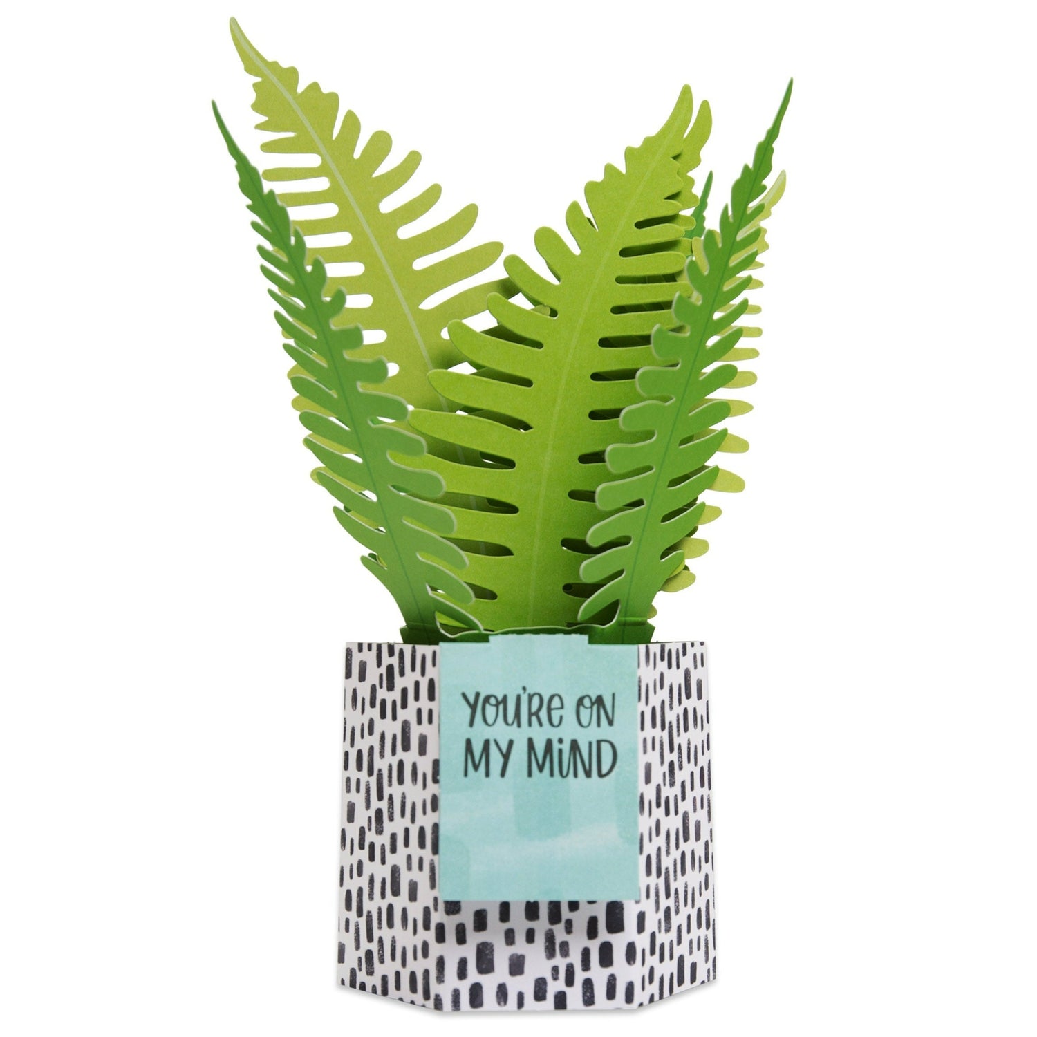 Paper Wonder Pot Plant - Fern with vibrant green paper ferns in a decorative pot featuring a gift tag.