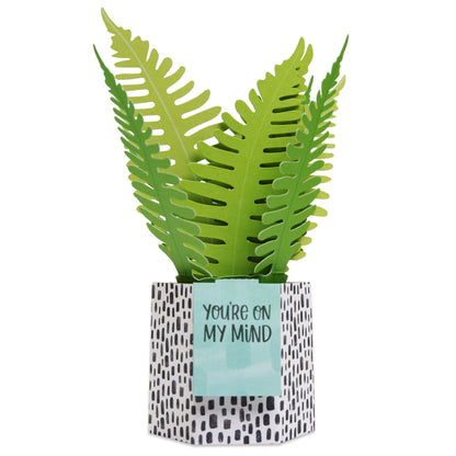 Paper Wonder Pot Plant - Fern