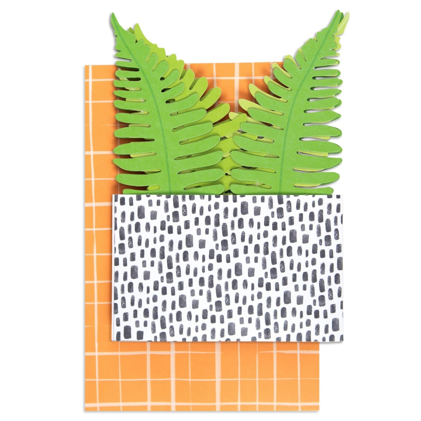 Paper Wonder Pot Plant - Fern