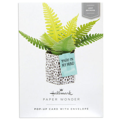 Paper Wonder Pot Plant - Fern
