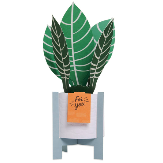 Paper Wonder Pot Plant - Zebra Plant