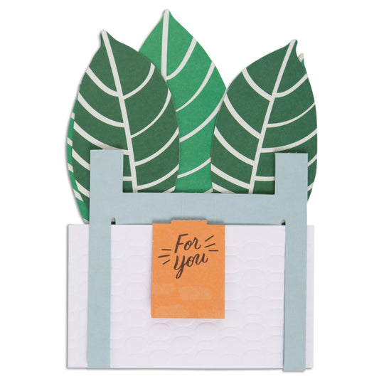 Paper Wonder Pot Plant - Zebra Plant