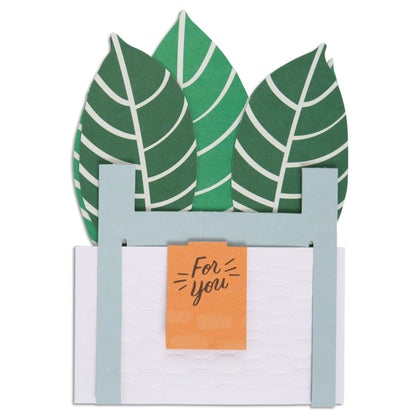 Paper Wonder Pot Plant - Zebra Plant