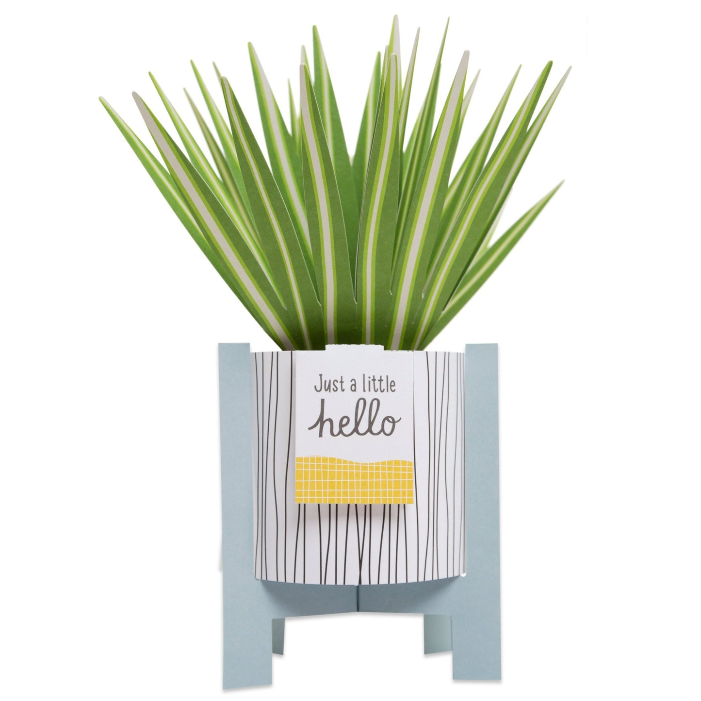 Paper Wonder Pot Plant - Spider Plant