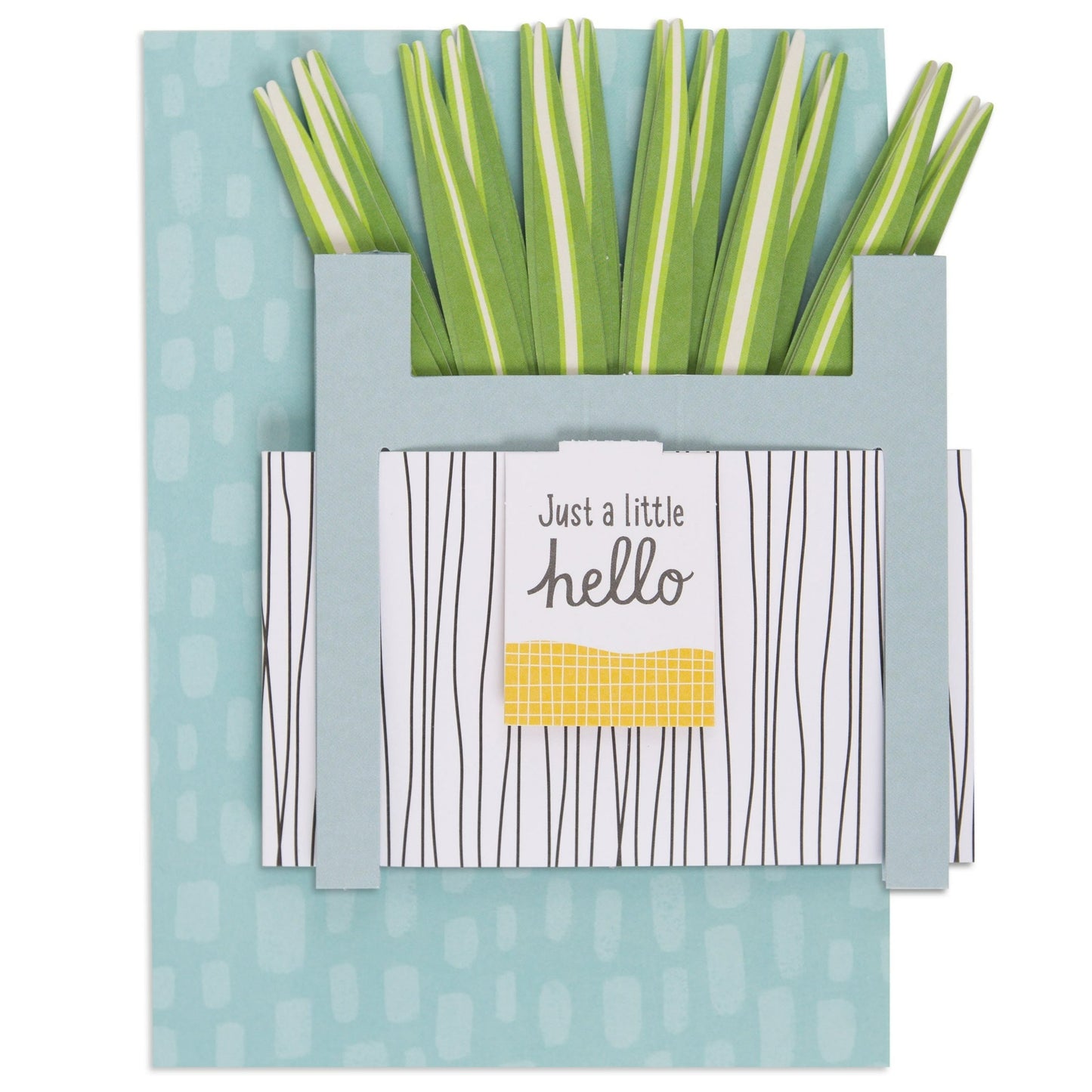 Paper Wonder Pot Plant - Spider Plant