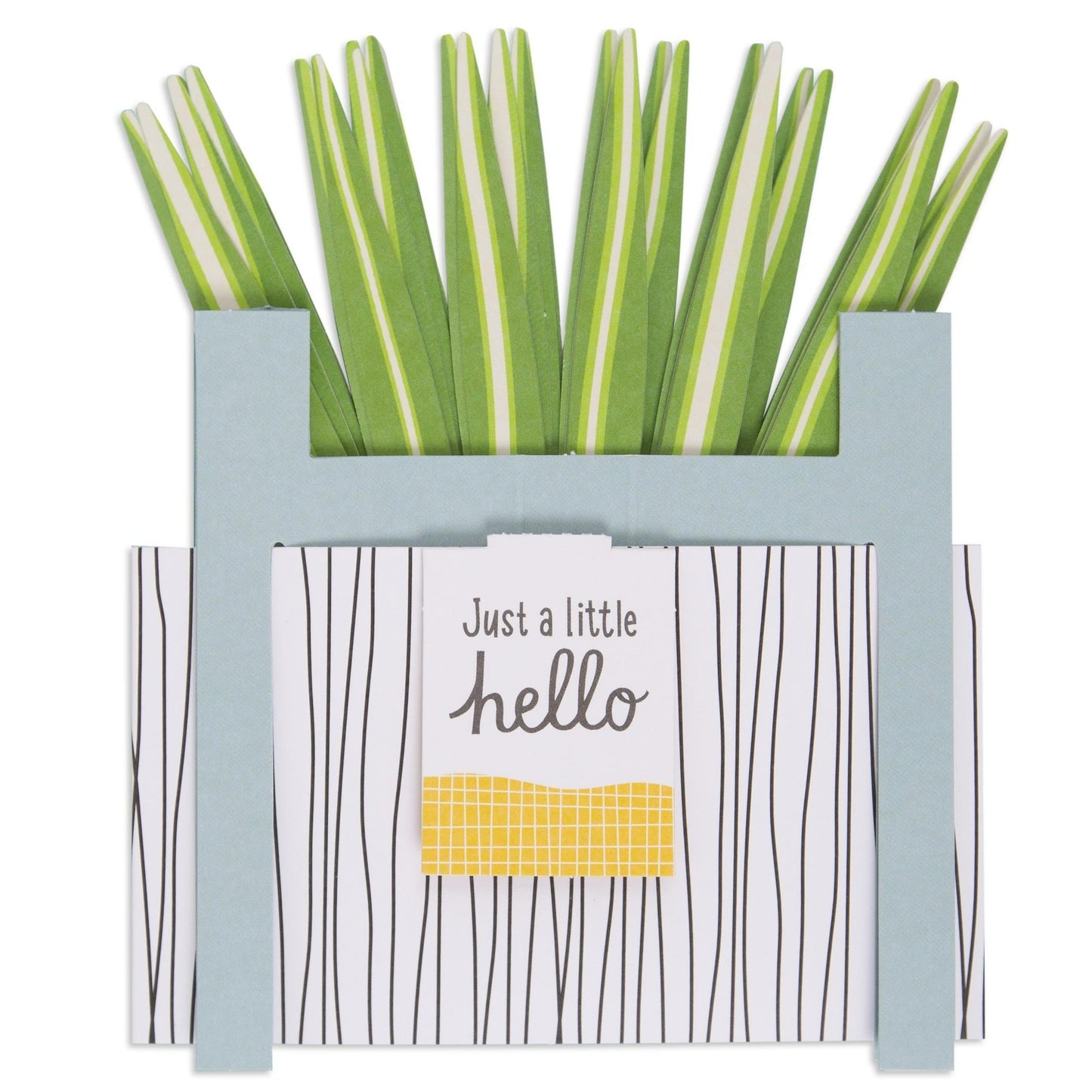 Paper Wonder Pot Plant - Spider Plant