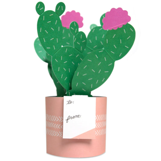 Paper Wonder Pot Plant - Cactus