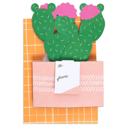Paper Wonder Pot Plant - Cactus