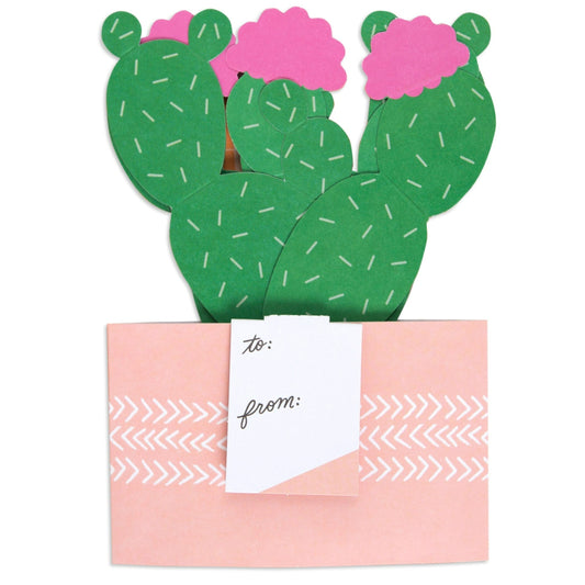 Paper Wonder Pot Plant - Cactus
