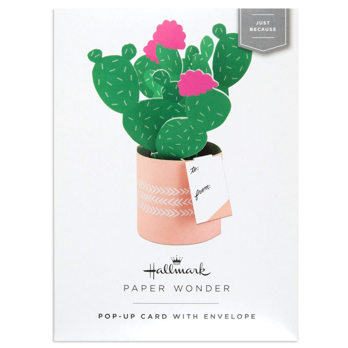 Paper Wonder Pot Plant - Cactus