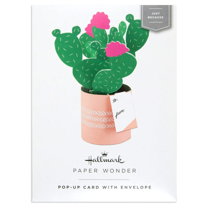 Paper Wonder Pot Plant - Cactus