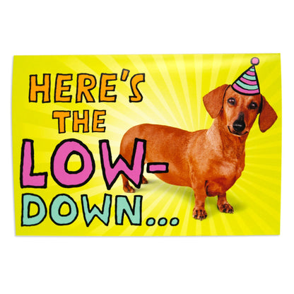 Atomic Dachshund Dog Fun Colourful Interactive Birthday Card