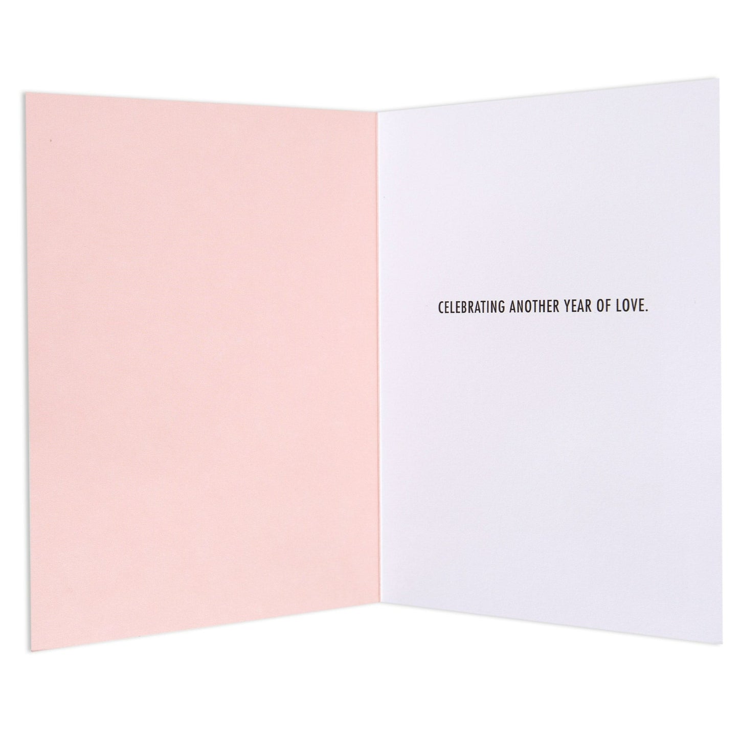 Another Year of Love Elegant Anniversary Card