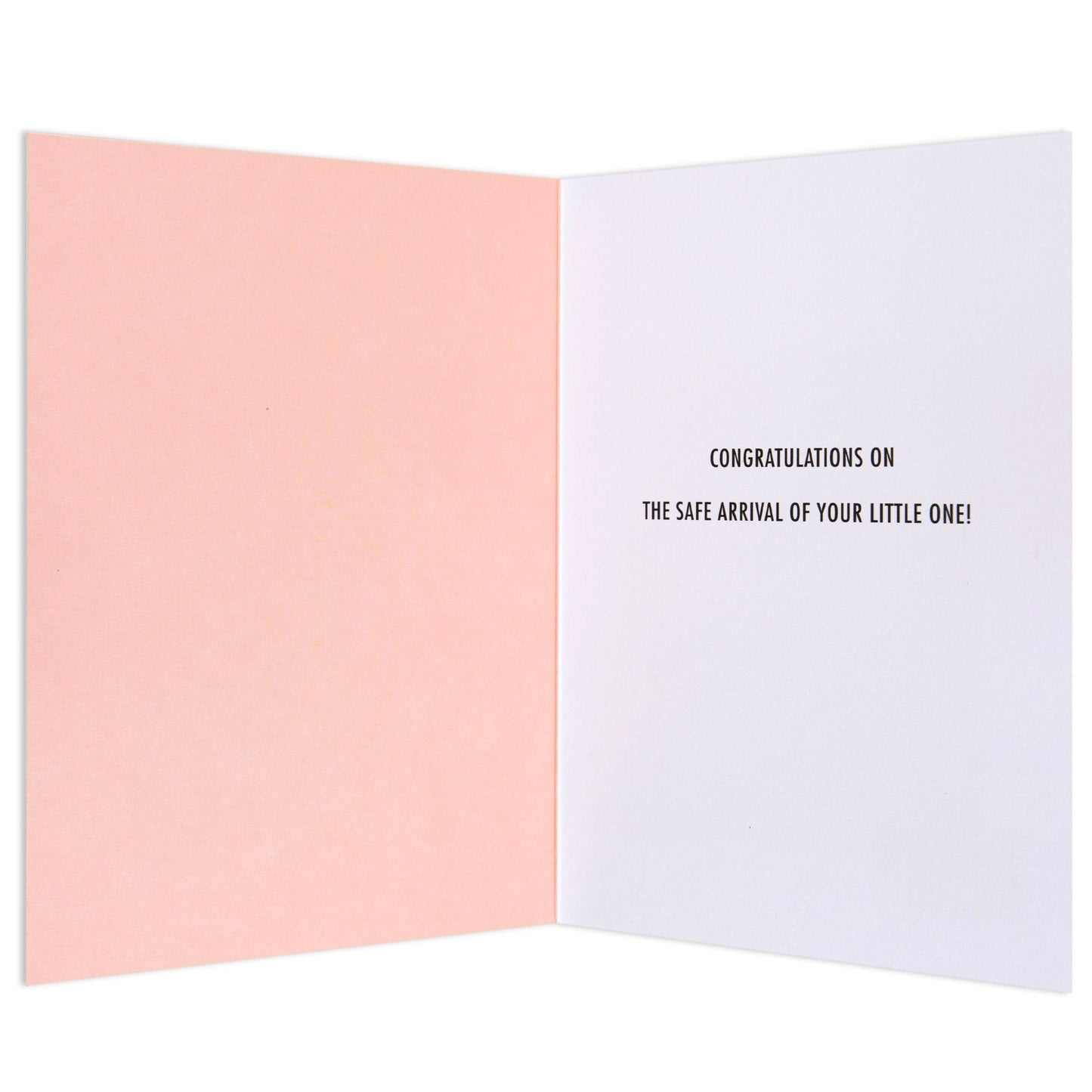 Welcome Little Princess Sweet Baby Congratulations Card