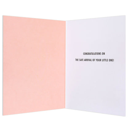 Welcome Little Princess Sweet Baby Congratulations Card