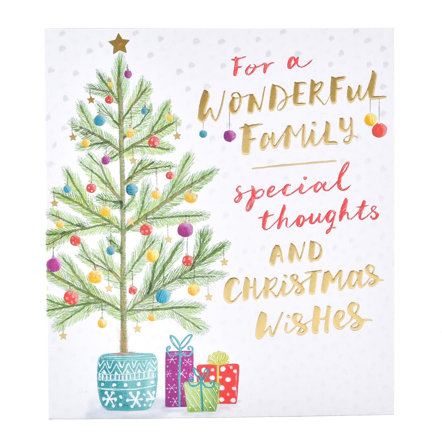 Hallmark Christmas Card For Family - Special Thoughts & Wishes