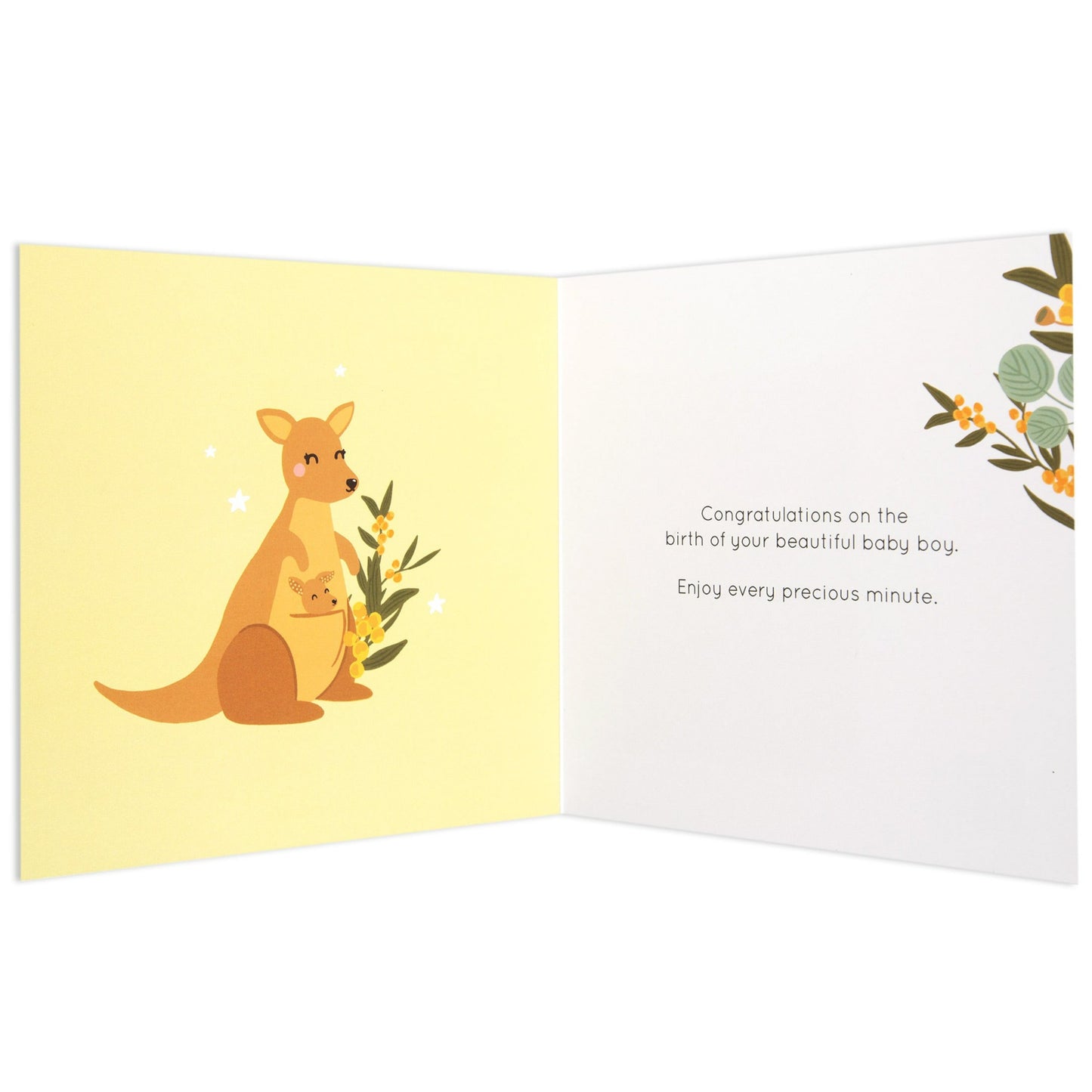 Australian Spirit Bush Buddies New Baby Boy - Kangaroos