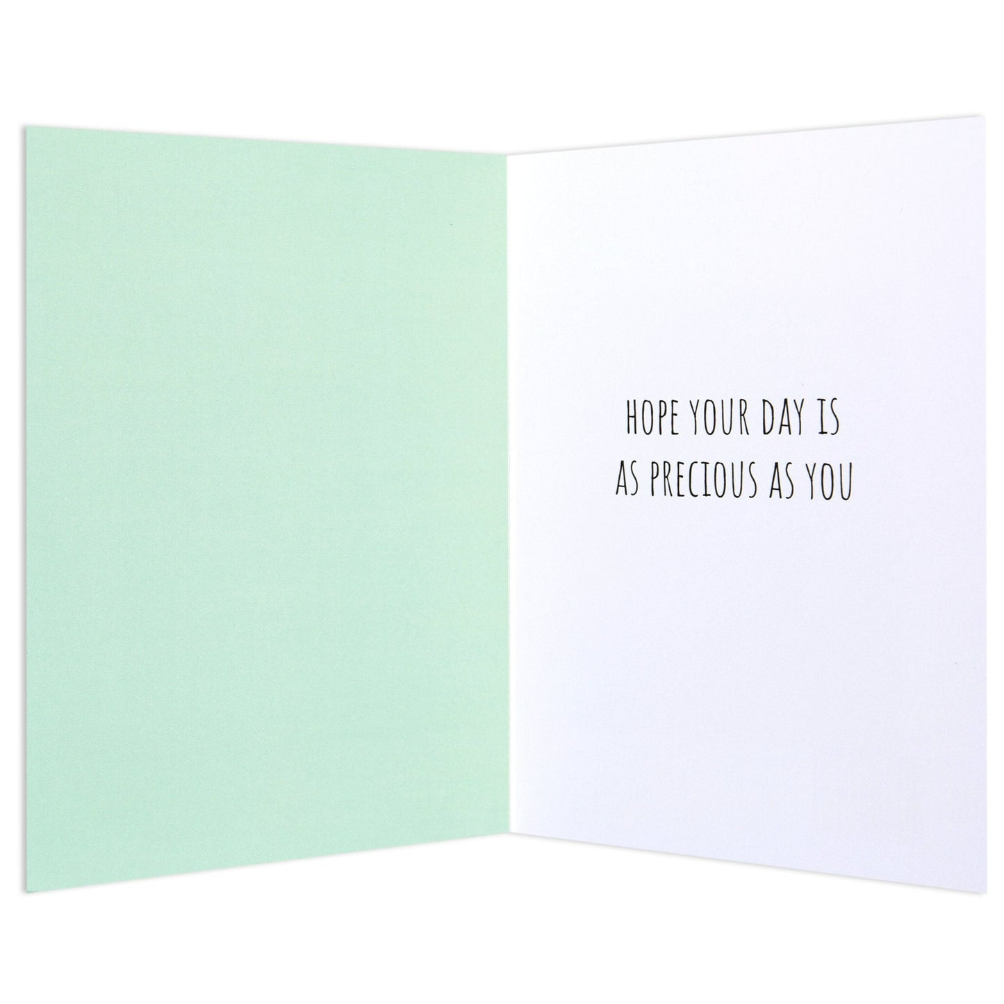 Australian Spirit Good On Ya Birthday Card - Possum