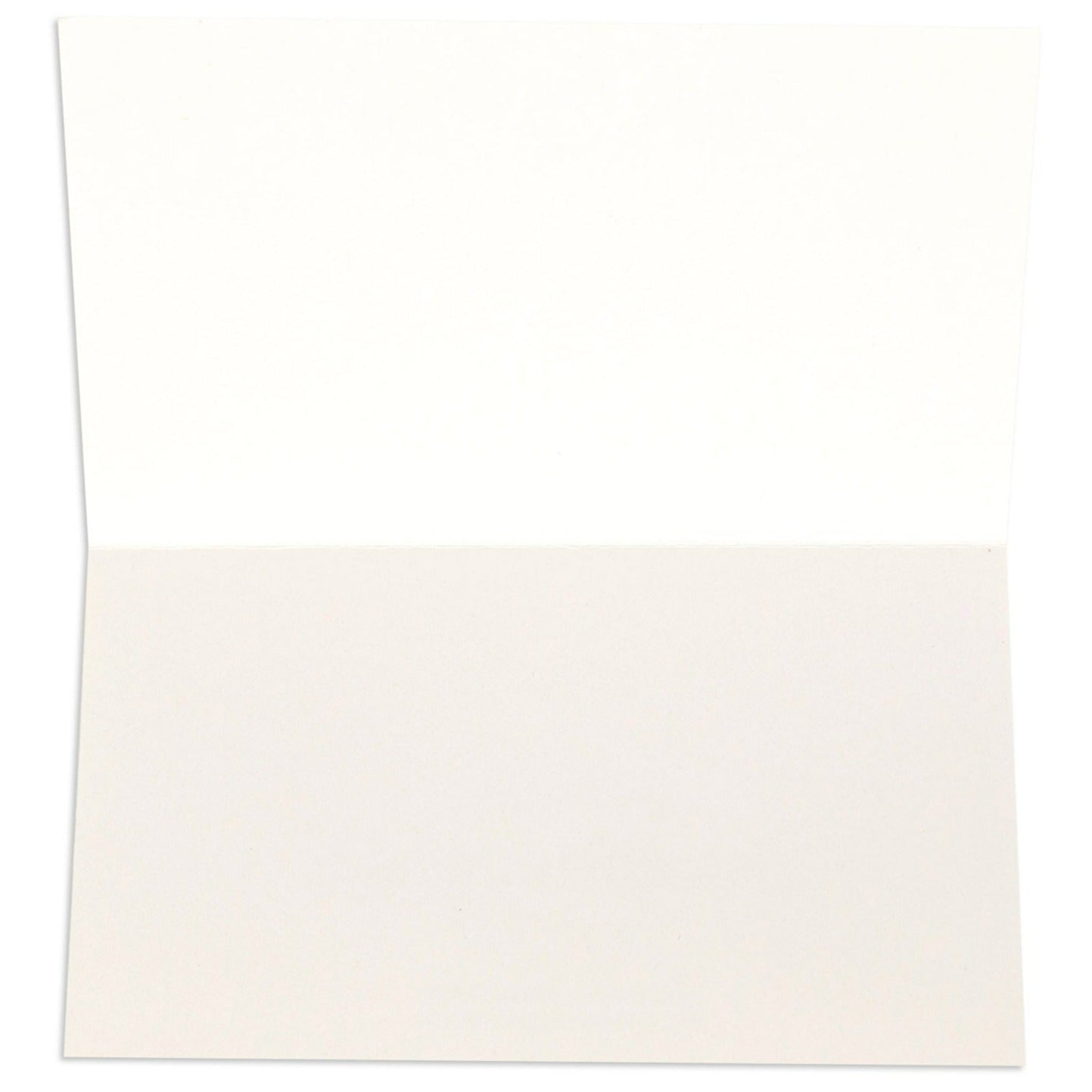 Little World Changers Assorted Blank Mini Note Cards - Pack of 12